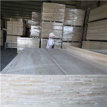 Planches et bandes de bois de Paulownia